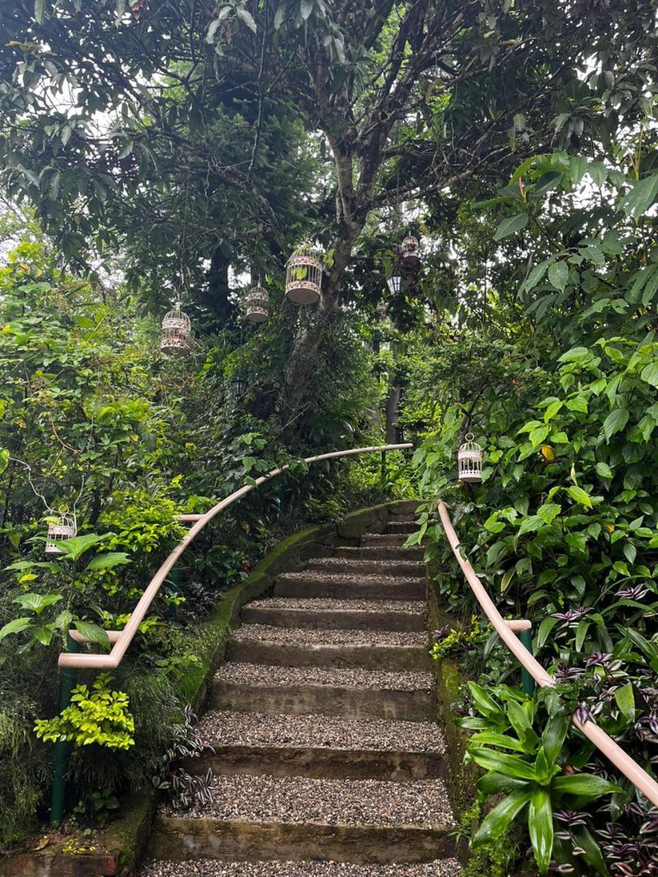 Hotel Aam'S Courtyard Kalimpong Exterior foto